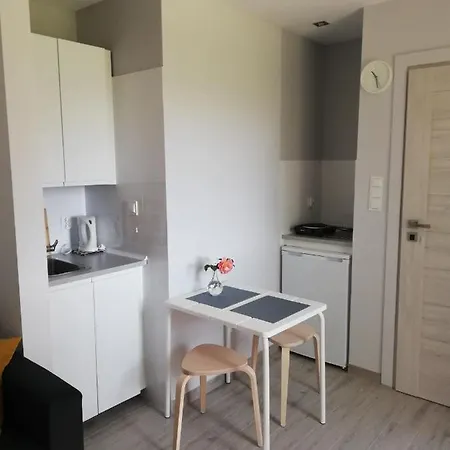 Beskidy Apartment *