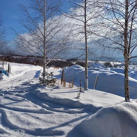 Beskidy Lejlighed Żywiec